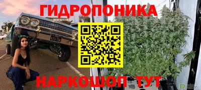 сатива Абинск