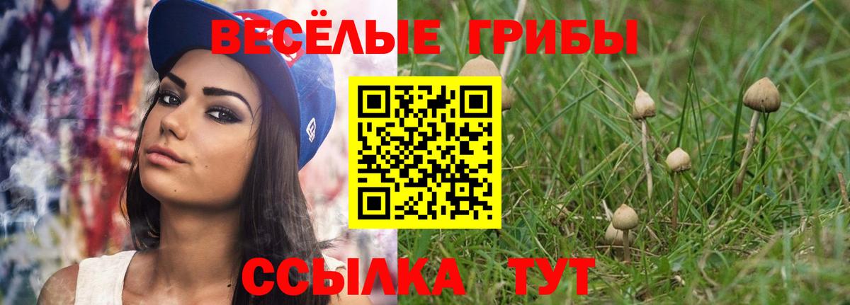 цена наркотик  Вход с VPN  Абакан  Псилоцибиновые грибы GOLDEN TEACHER 